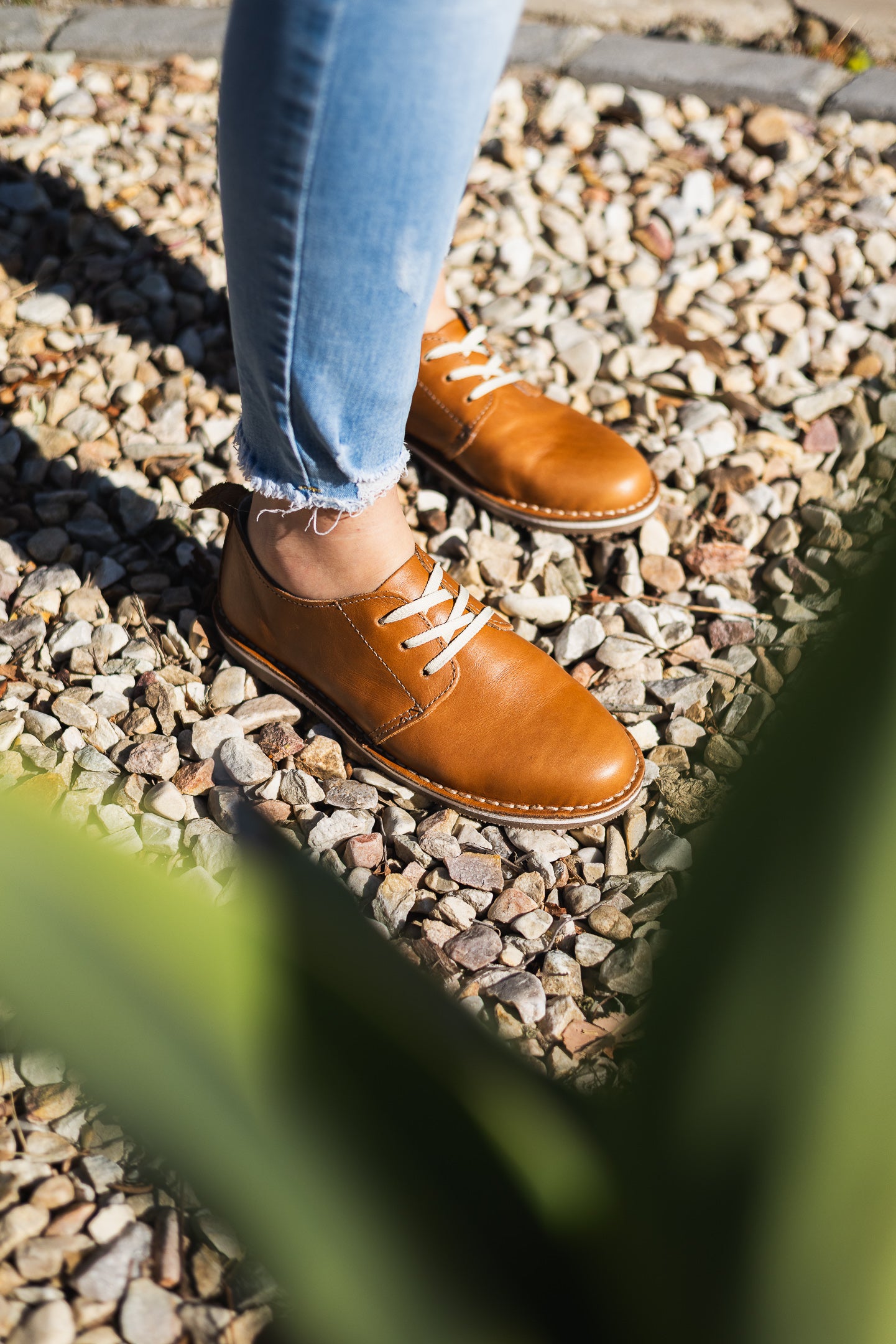 Toffee Tan Ladies Vellie Shoe