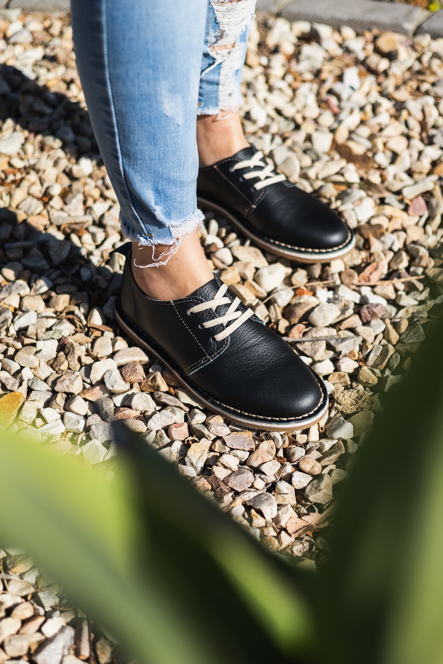 Black Ladies Vellie Shoe