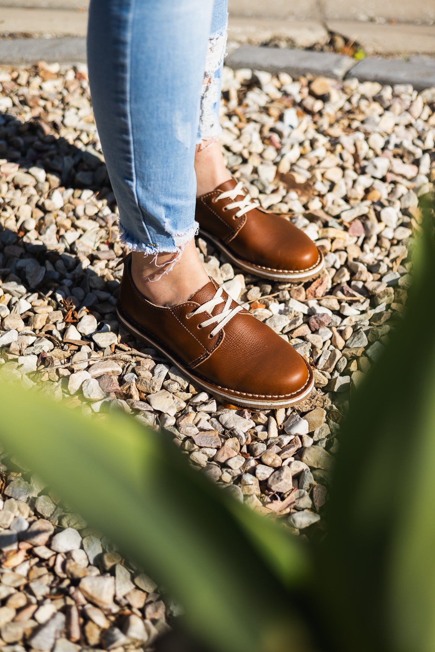 Soft Brown Ladies Vellie Shoe
